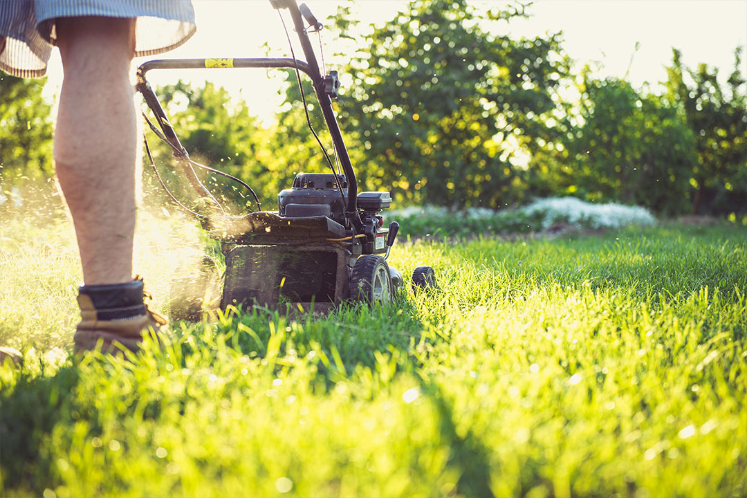 LAWN CARE